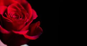 Une visite qui a échoué ! !